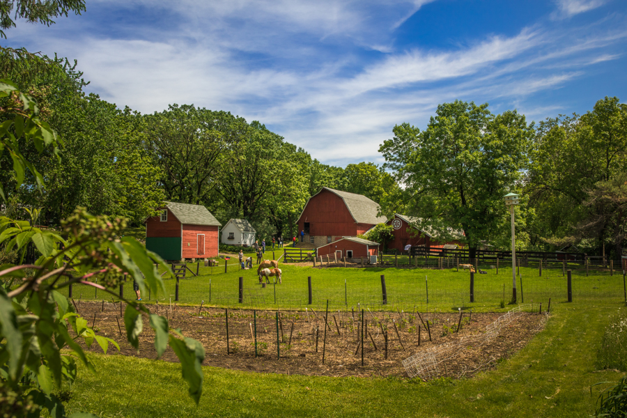 The Children's Farm, garden in foreground, horses in pasture, three red barns and large chicken coop in the background