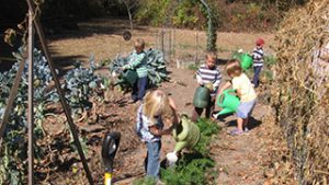 kids watering and tending to the vegetable garden